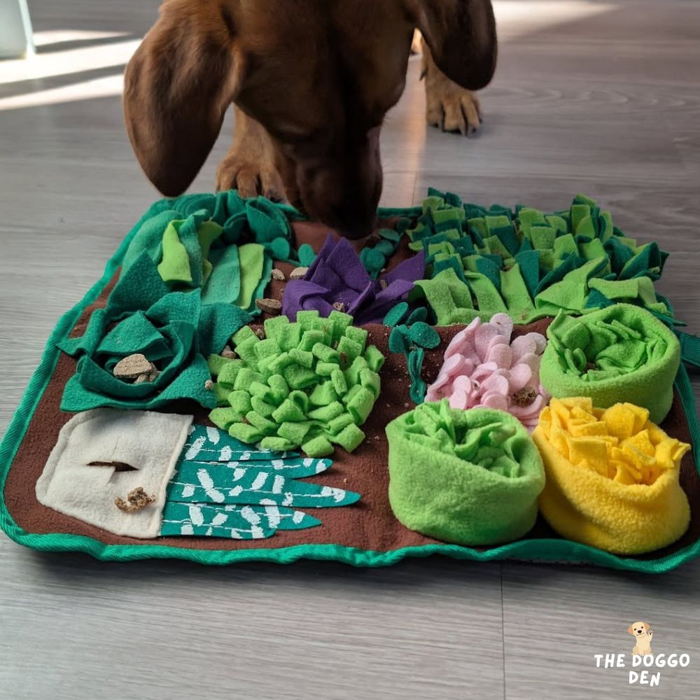 DoggoDen Sniff Safari