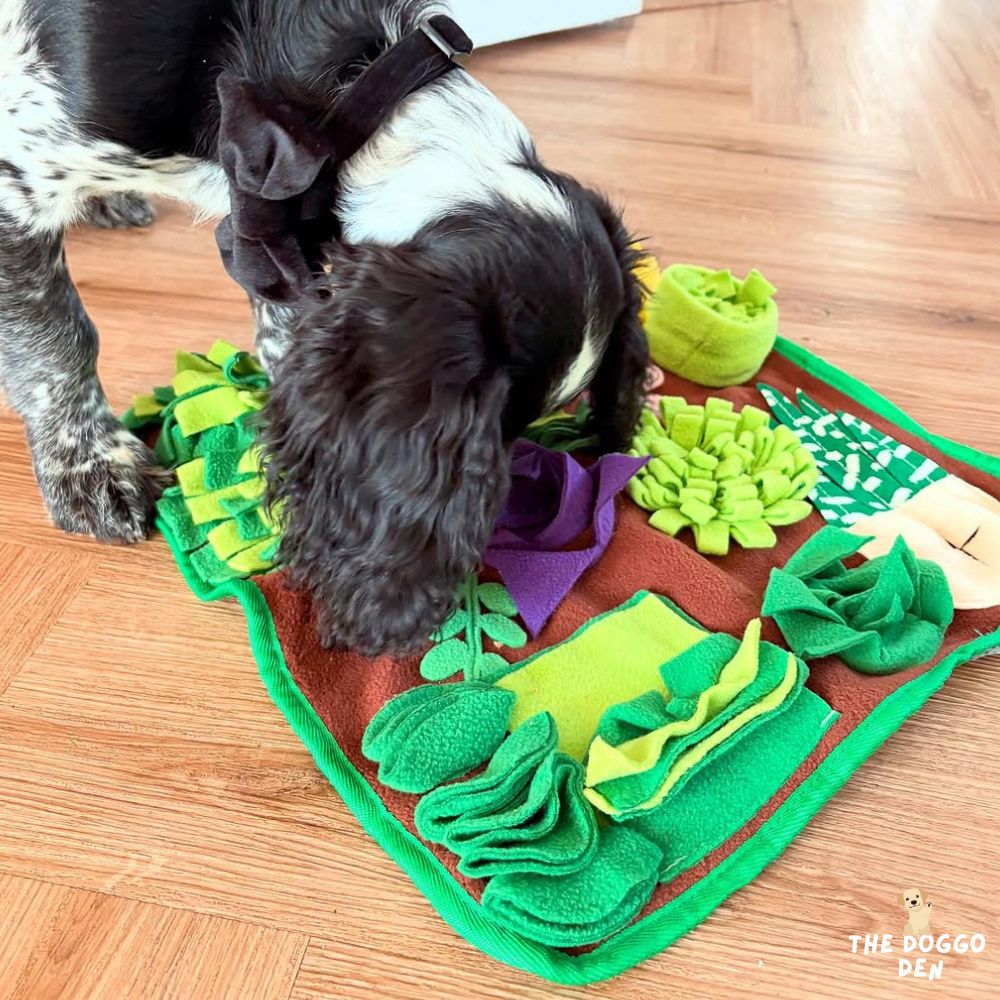 DoggoDen Sniff Safari