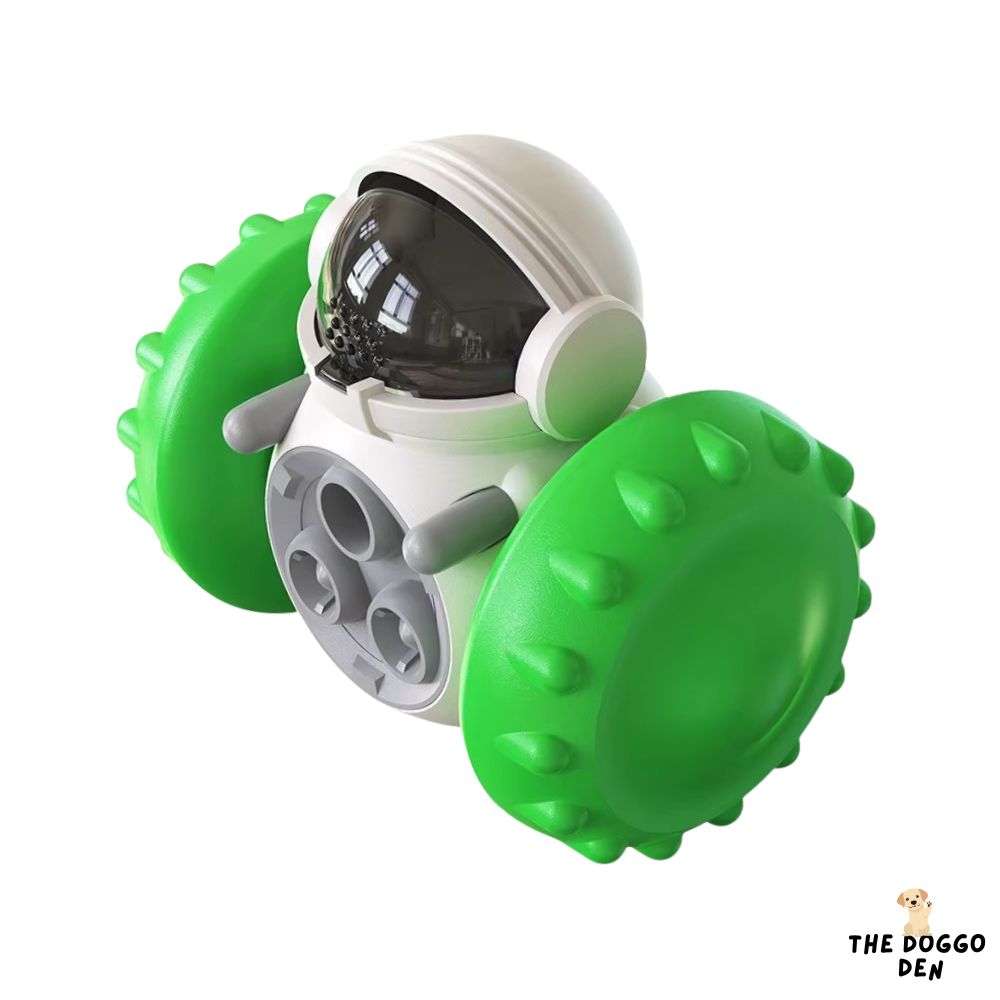 DoggoDen Brain Boost Explorer