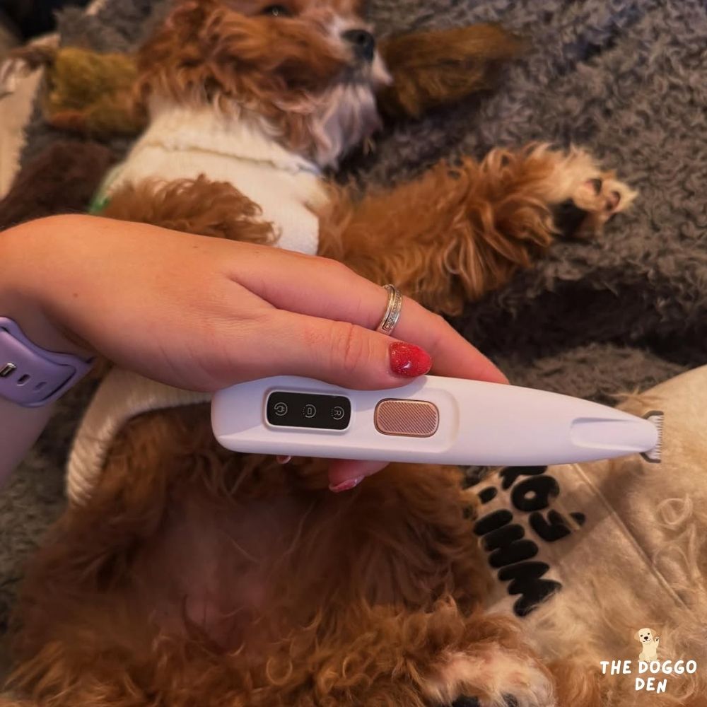 DoggoDen Electric Dog Trimmer