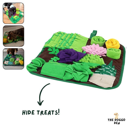 DoggoDen Brain Boost Explorer