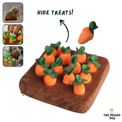 DoggoDen Carrot Quest