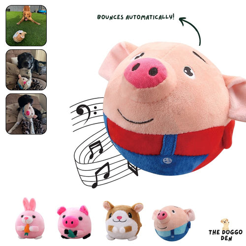 DoggoDen Bounce Buddy
