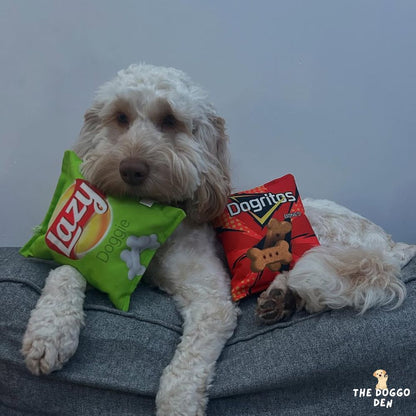 DoggoDen Brain Boost Explorer