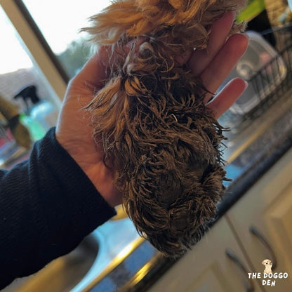 DoggoDen Automatic Paw Cleaner