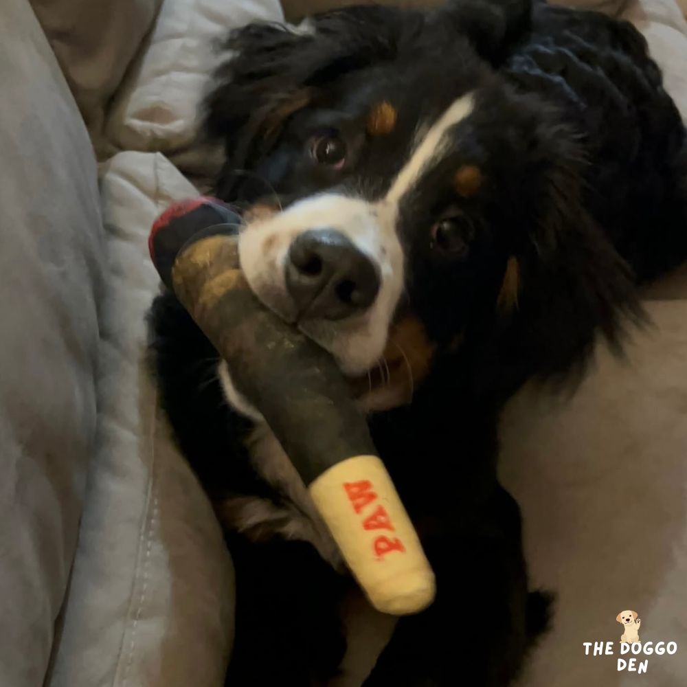 DoggoDen Funny Cigar Toy