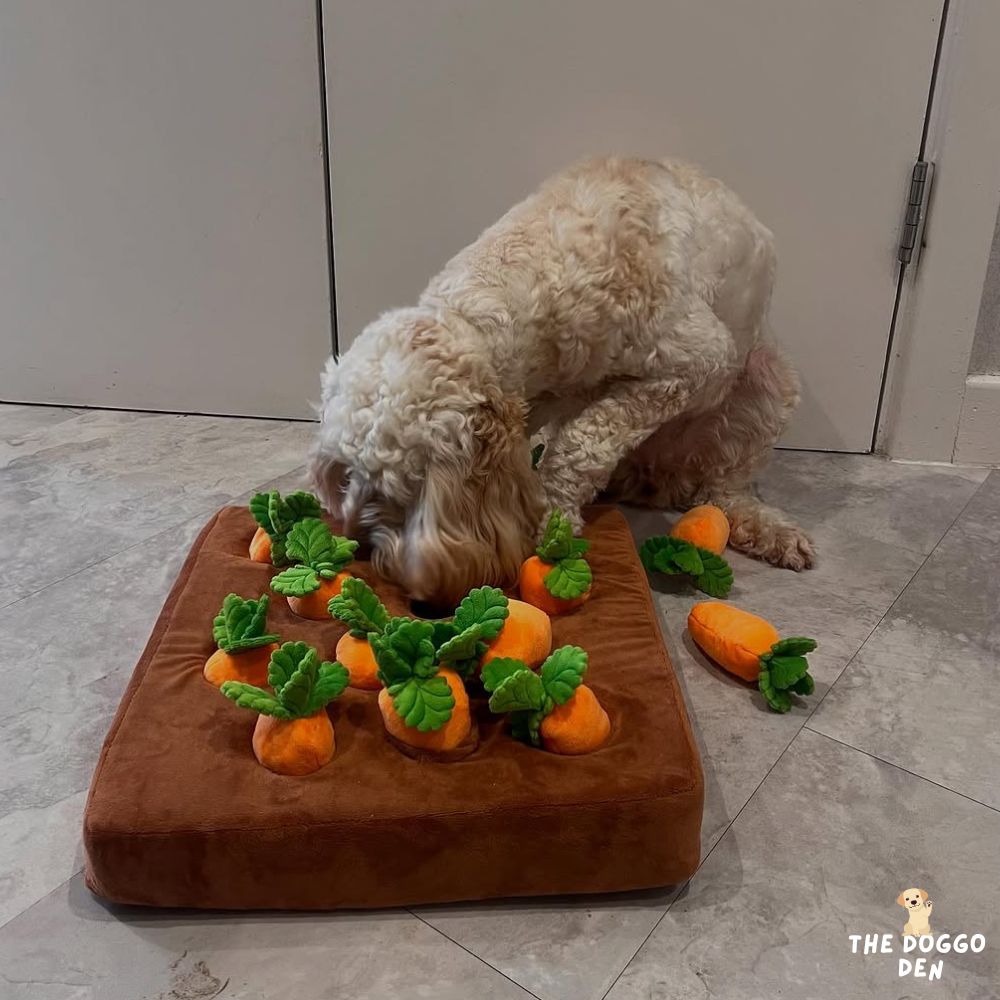 DoggoDen Brain Boost Explorer