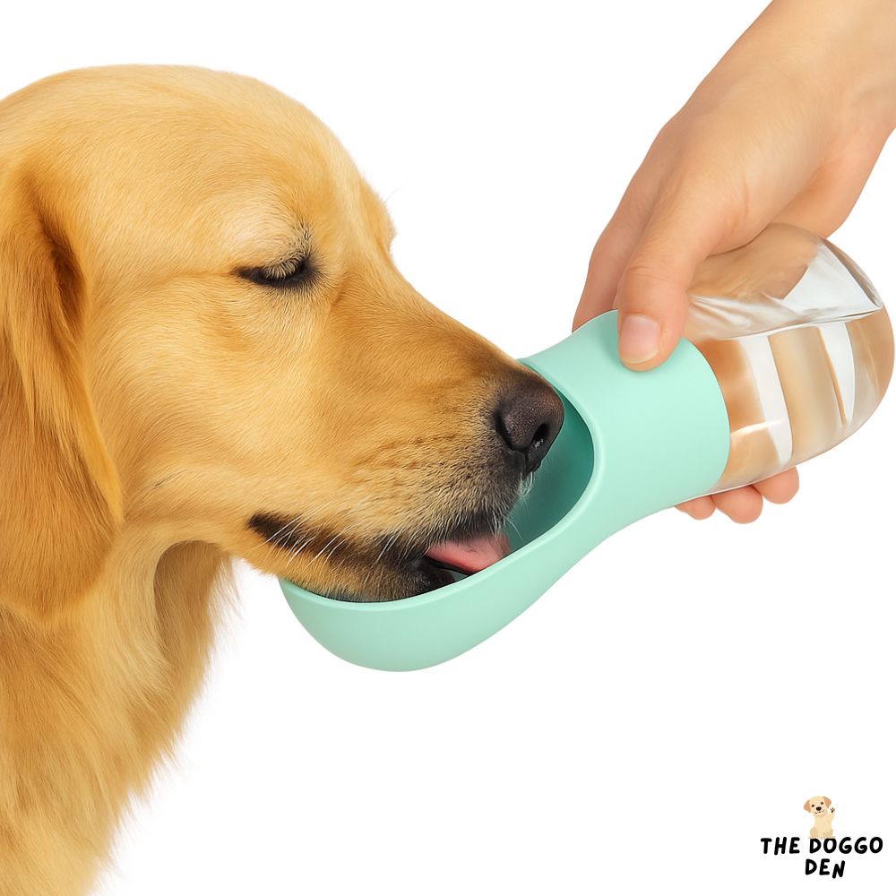 DoggoDen Portable Water Bottle
