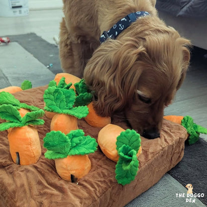 DoggoDen Brain Boost Explorer