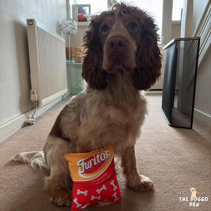 DoggoDen Brain Boost Explorer