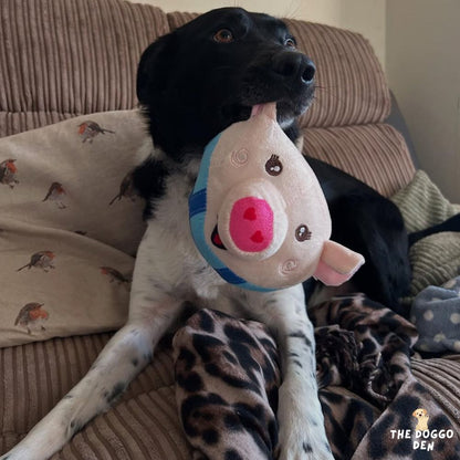 DoggoDen Brain Boost Ultimate