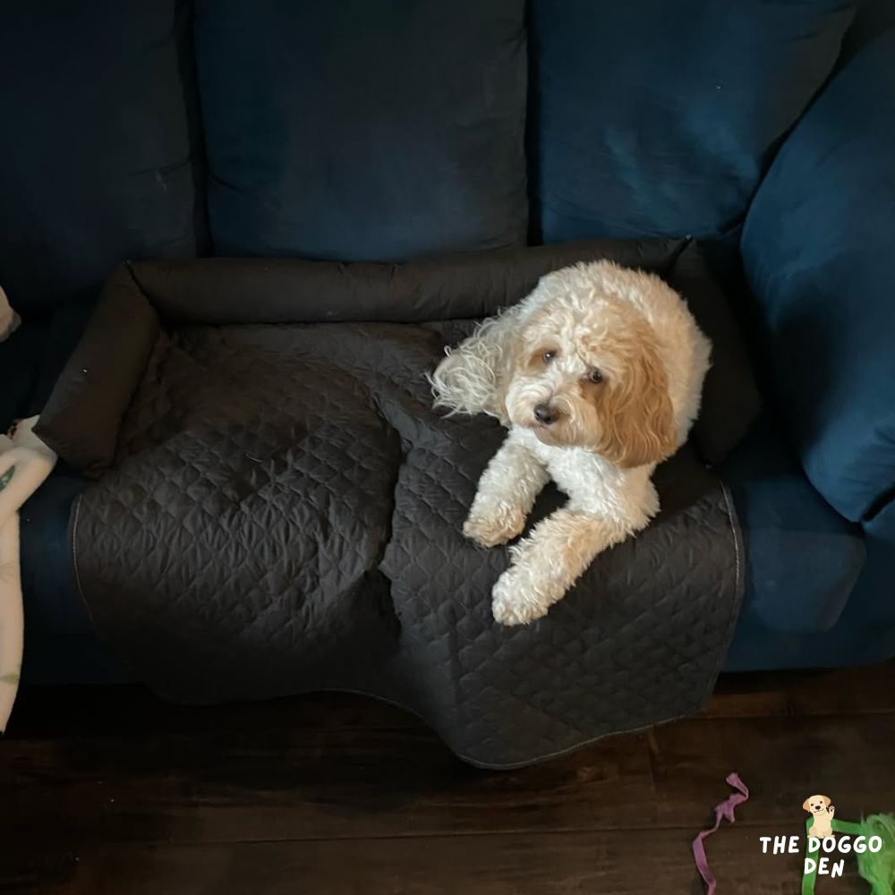DoggoDen Waterproof Couch Cover
