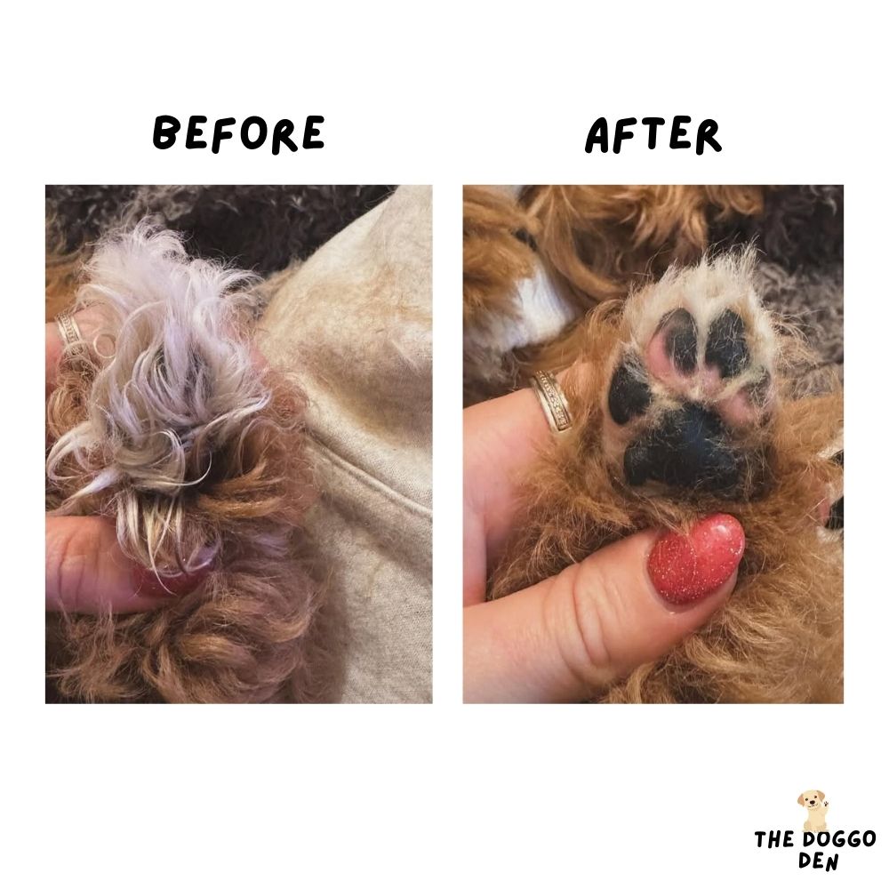 DoggoDen Electric Dog Trimmer