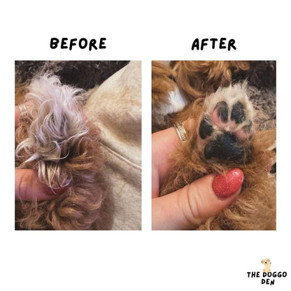 DoggoDen Electric Dog Trimmer