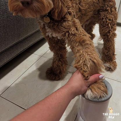 DoggoDen Automatic Paw Cleaner