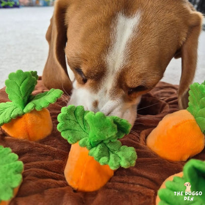 DoggoDen Brain Boost Explorer