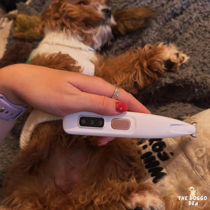 DoggoDen Electric Dog Trimmer