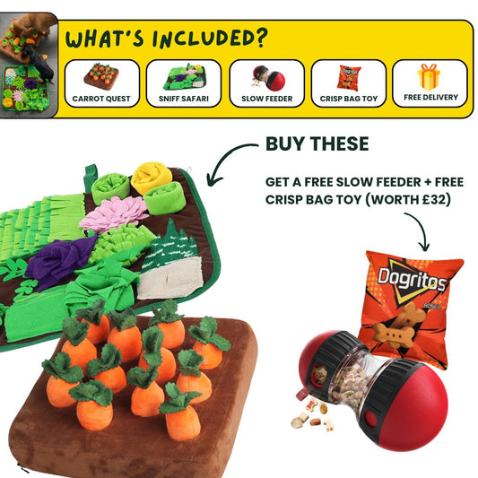 DoggoDen Brain Boost Explorer