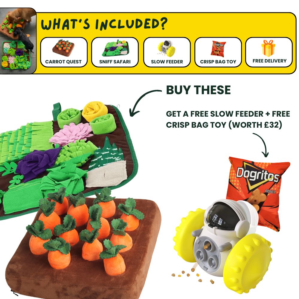 DoggoDen Brain Boost Explorer