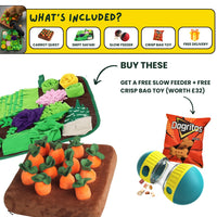 Blue Red Slow Feeder