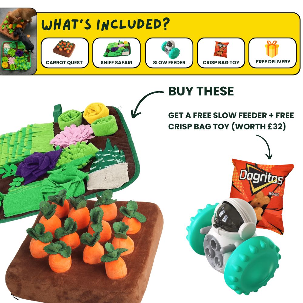 DoggoDen Brain Boost Explorer