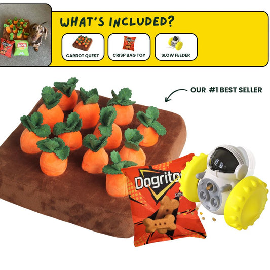 DoggoDen Brain Boost Starter