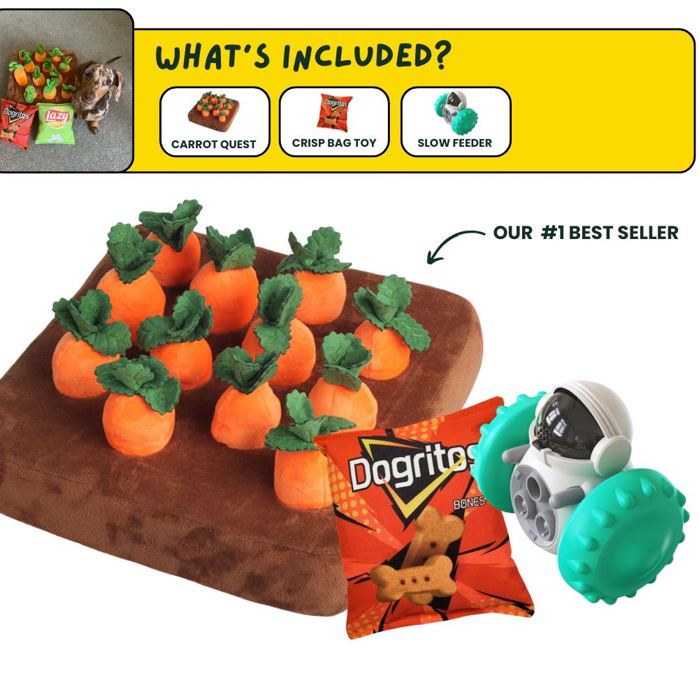 DoggoDen Brain Boost Starter