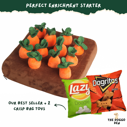 DoggoDen Brain Boost Starter
