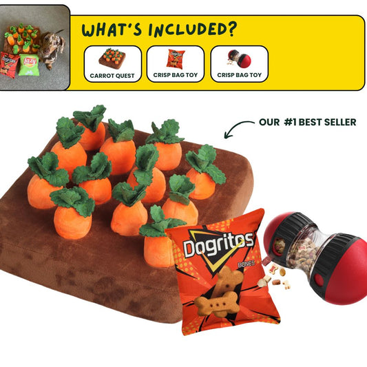 DoggoDen Brain Boost Starter