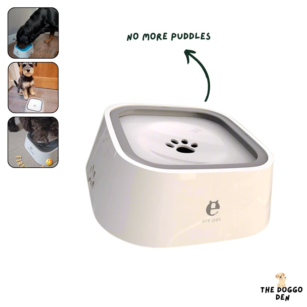 DoggoDen Splash-Proof Water Bowl