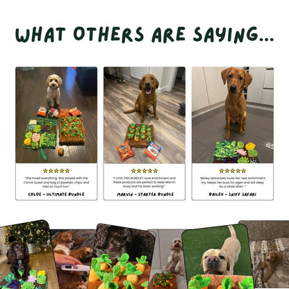 DoggoDen Slow Feeder